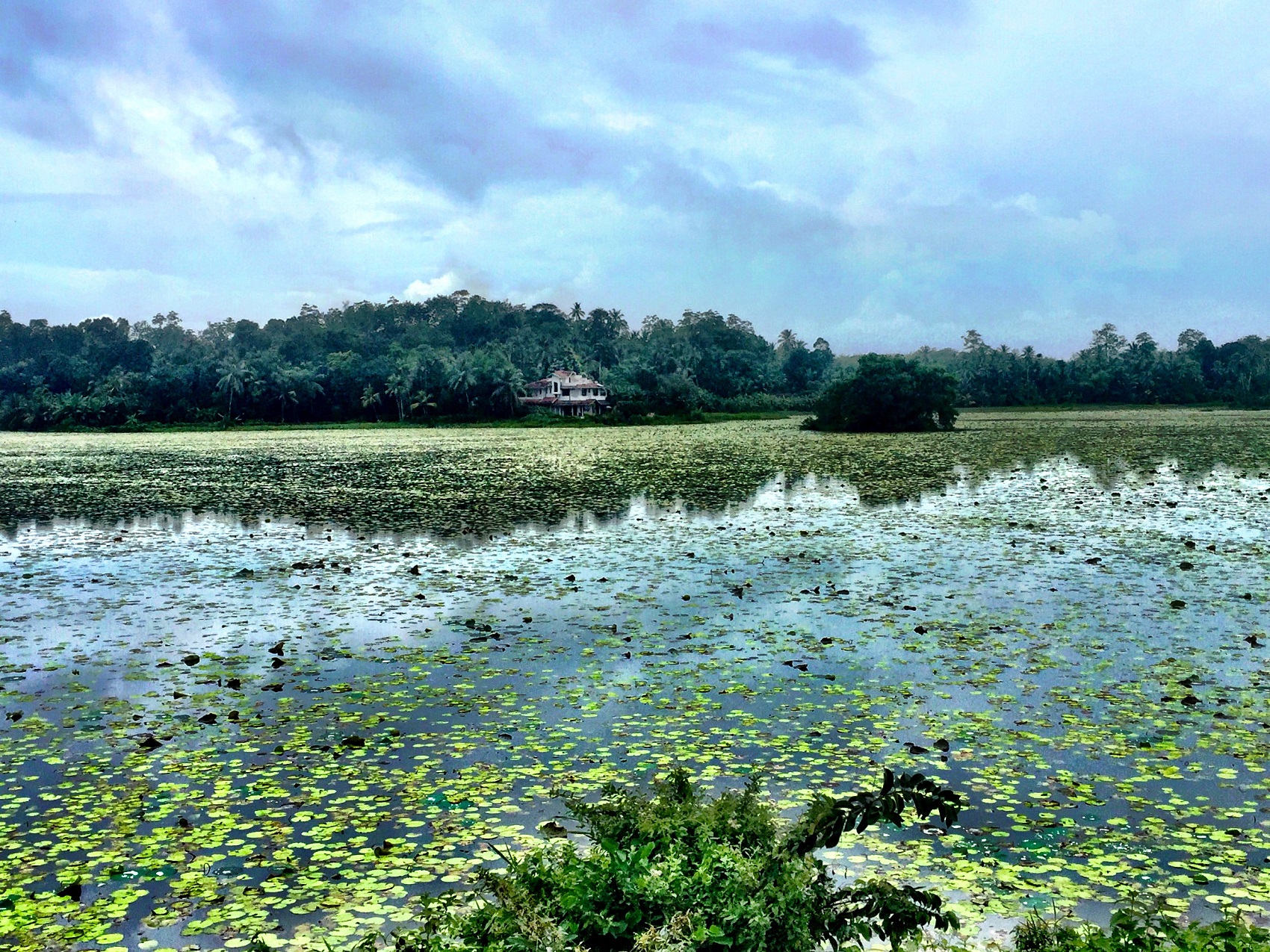 Photos from our Sri Lanka - Classic Cycling Holiday